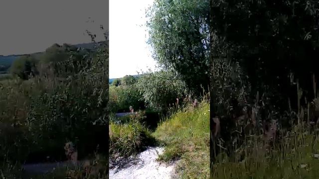 вот как богата наша Россия смотреть онлайн