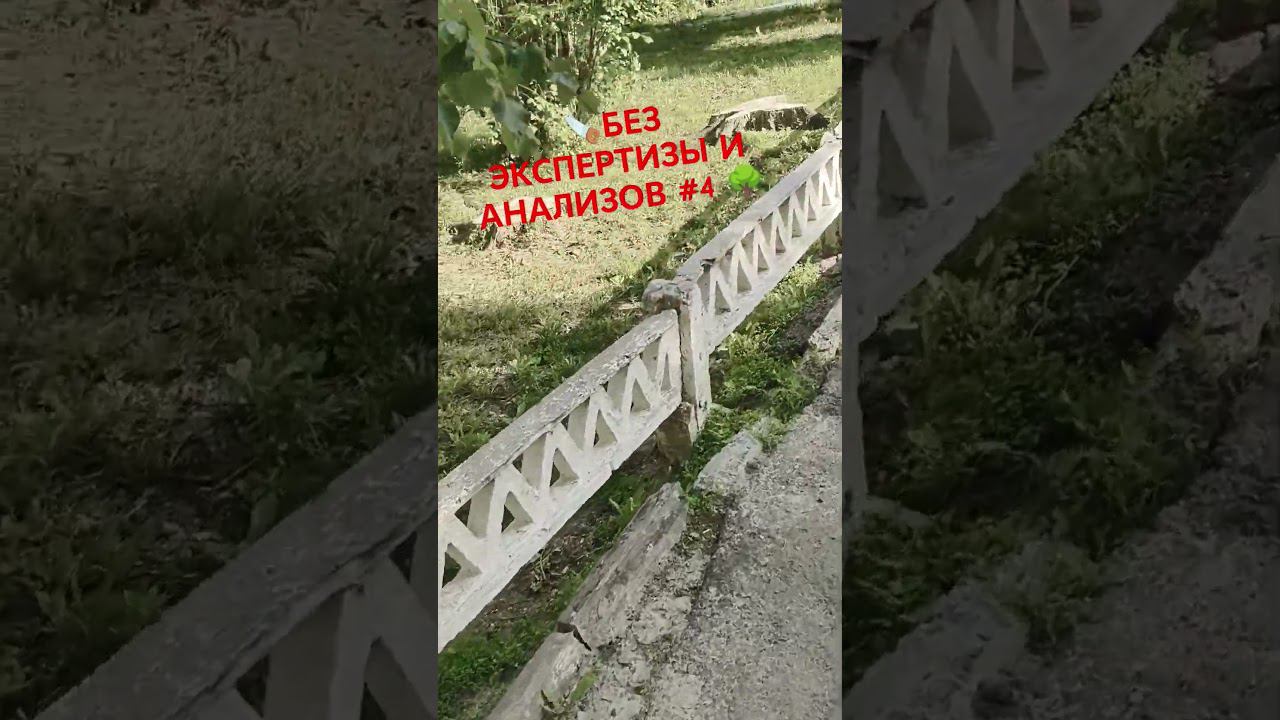 БЕЗ ЭКСПЕРТИЗЫ И АНАЛИЗОВ # 4 #спилдеревьев #спилитьдерево #спил #спилили #дерево #деревья смотреть онлайн