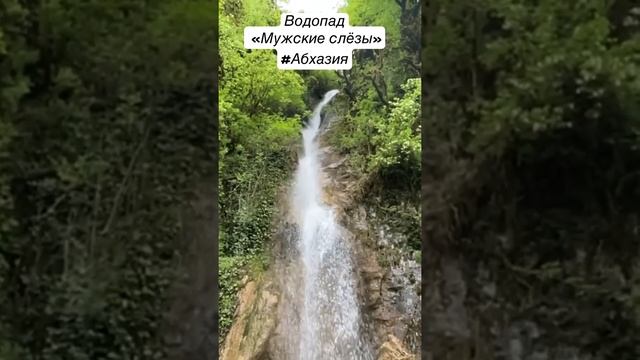 Водопад «Мужские слёзы», Рицинский реликтовый национальный парк, Абхазия смотреть онлайн