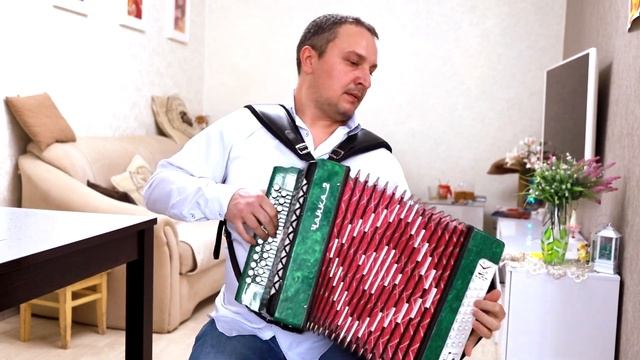 Цыганочка. Начинающий гармонист. смотреть онлайн