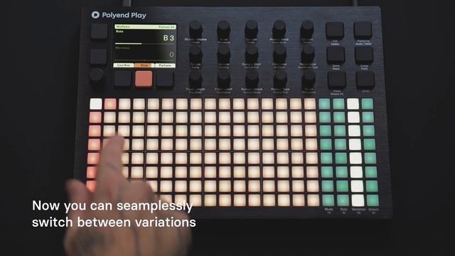 Polyend Play Quick Guide