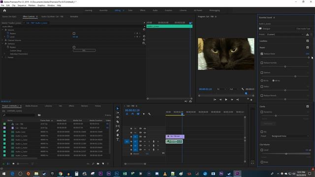 Premiere Pro CC 2019 : How To Reduce Background Noise Audio