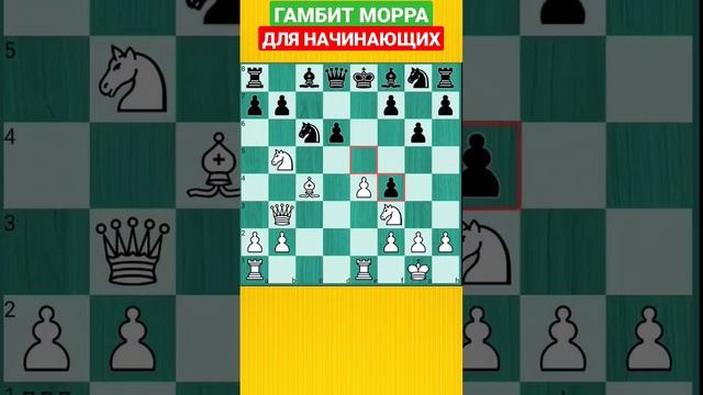 Ахиллесова пята в гамбите Морра для начинающих #shorts смотреть онлайн