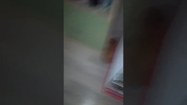 Как дрессировать кролика