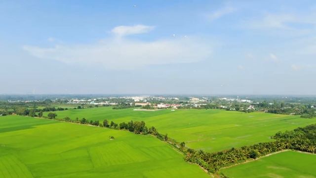 Telefunken TF-LED28S9T2 не включается, индикации нет. PSU CVB32005 смотреть онлайн