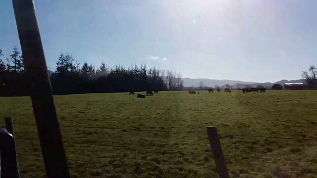 Американская деревня в штате Орегон смотреть онлайн