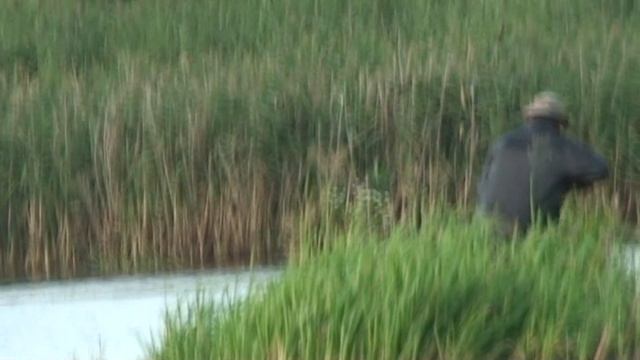 Вечерняя рыбалка в июле. Рыбалка на поплавок, клёв карась плотва. смотреть онлайн