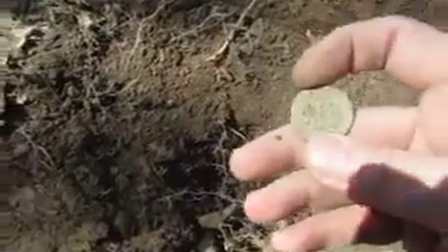 Металлодетектор Крот 2 и Деньга смотреть онлайн