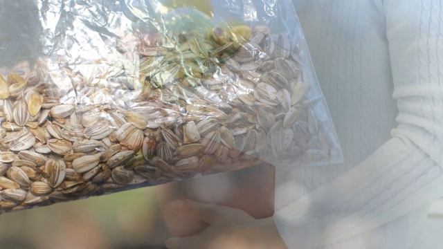 СЕМЕЧКИ ВО ВРЕМЯ БЕРЕМЕННОСТИ | Можно ли беременным семечки смотреть онлайн