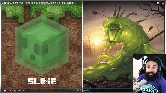 MINECRAFT MOBS IN REAL LIFE смотреть онлайн