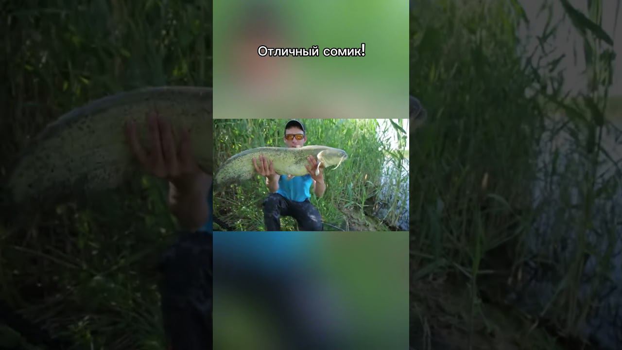 Какой ЭПИТЕТ поставим вместо МНОГОТОЧИЯ? https://youtu.be/TFsBxOxhGo4 #снастиздрасьте #ловлясома смотреть онлайн