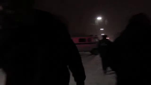 Служебная собака проверила автобус в Бердске - бомбы нет смотреть онлайн