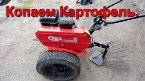 Копаем Картофель - мотоблок Ока - копалка Зубр.