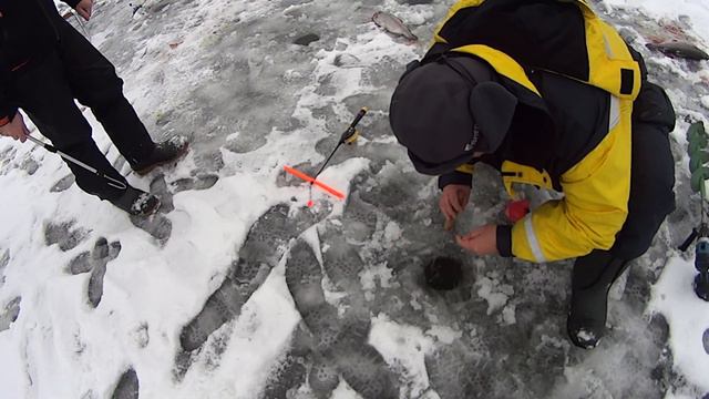 Fisherix смотреть онлайн