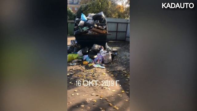 Ароматный вход в детский сад №42. Калининград. смотреть онлайн