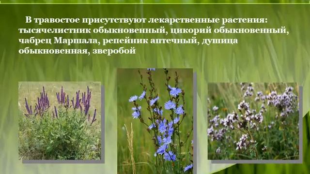 Заказник наш - Дебри (филиал №10) смотреть онлайн