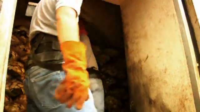 Don Julio2.flv смотреть онлайн