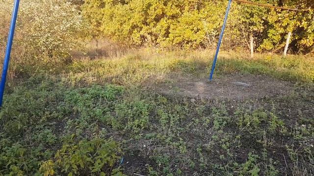 Огород в деревне\ Купил дом в деревне\Деревенский огород\Подсобное хозяйство\Работа в деревне смотреть онлайн