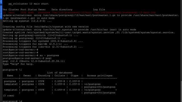 Installing PostgreSQL-12 on Ubuntu 20.4 смотреть онлайн