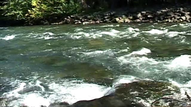 A River Loved: A film about the Columbia River & the people invested in its future смотреть онлайн