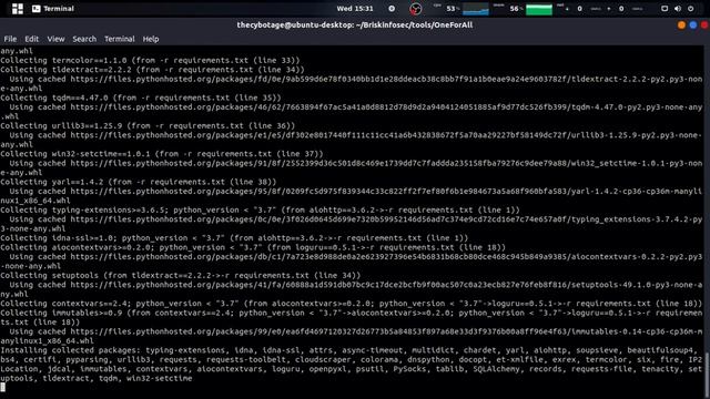 OneForAll Powerful Subdomain & DNS Enumeration Tool | TOD 137 | Briskinfosec смотреть онлайн