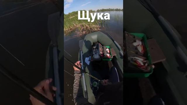 #рыбалка #отдых #рыбак #удочка #блесна #спининг #хобби #щука смотреть онлайн