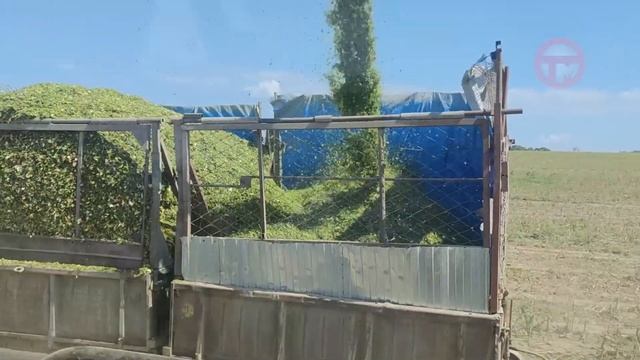 Кормом для коров запасаются в Раковке смотреть онлайн