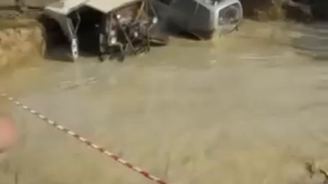 золотая лихорадка..avi смотреть онлайн