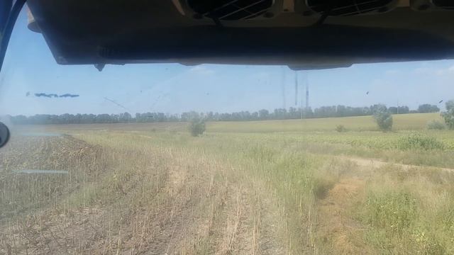 3 сентября 2020 г. соняшник Белла смотреть онлайн