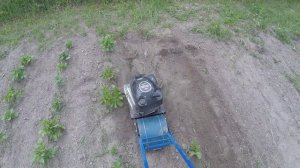 Окучивание картофеля-2 / ЛопЛош / Мотокультиватор