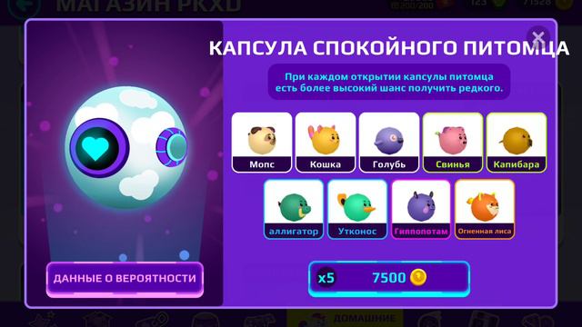 играю в PK XD