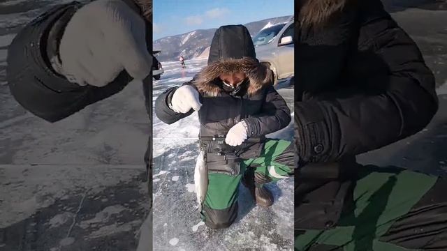 бомбическая Рыбалка на Байкале, два часа беготни между удочками и пакет омуля смотреть онлайн
