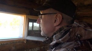 Одичавшие пятнистые олени - Охота на оленя - Вольерное разведение оленей