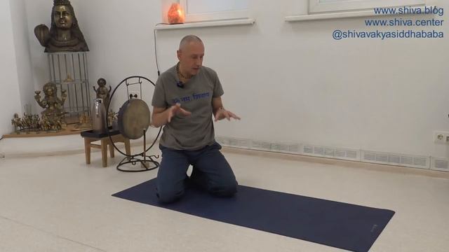 МАЮРАСАНАМ मयूरासनं И ХАНСАCАНАМ हंसासनं. ТЕХНИКА ИСПОЛНЕНИЯ С ШИВАДЖИ ГУРУ. смотреть онлайн