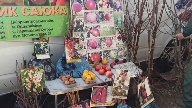 Ярмарка голубей, декоративных птиц и животных г. Вознесенск Николаевская область 13.11.2021 года. смотреть онлайн