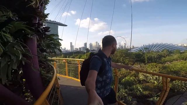 Подъём на дерево на лифте смотреть онлайн