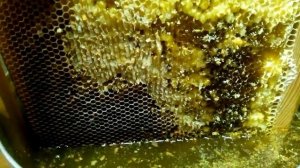 Один из способов извлечения севшего мёда из рамок без потерь