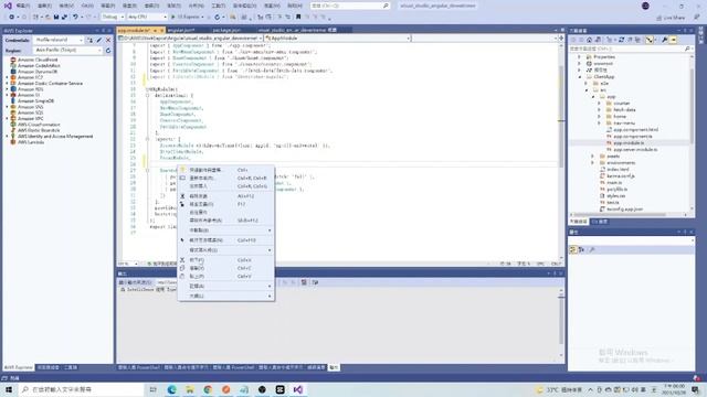 Visual Studio coding ASP.NET Core Angular with DevExtreme1(中文說明) смотреть онлайн