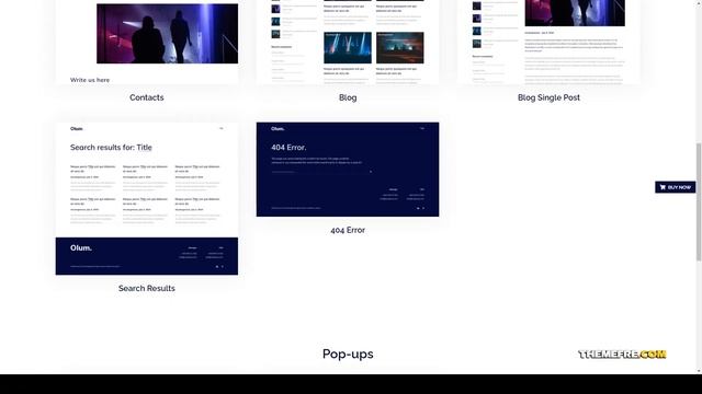 Olum - Business and Events Management Agency Vue JS Template 15 vue Website Builder смотреть онлайн