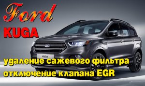 Ford Kuga 2.0 diesel: удаление сажевого фильтра (DPF), отключение клапана ЕГР