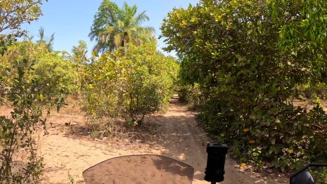 I become a free mototaxi driver on an island in Senegal 🇸🇳 |S7E31| смотреть онлайн