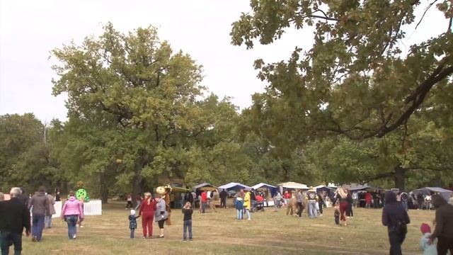 На фестивале «За Окой пасутся КО» прошел молочный забег смотреть онлайн