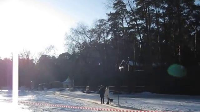 19.01.2015. Крещение Господне в Серебряном бору - Ролик №24 смотреть онлайн