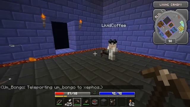 Minecraft - Hack/Mine Mod Update! - Mothers Day Dungeon смотреть онлайн