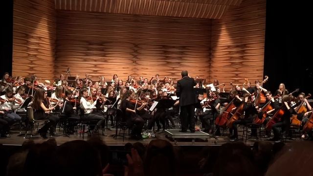 SKYFALL Theme, Youth Symphony Orchestra Vienna смотреть онлайн