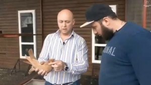 голуби декоративные Россия узбекский просто супер хорошая коллекция