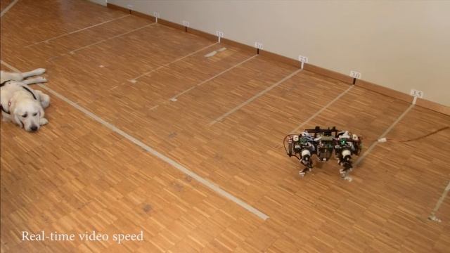 Oncilla robot - Multimedia Extension 3 смотреть онлайн