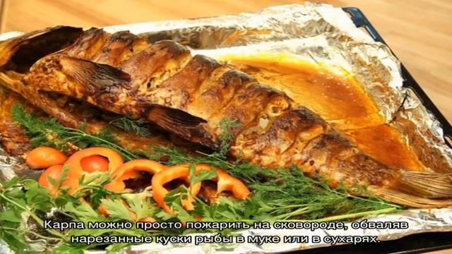 Как готовить карпа смотреть онлайн