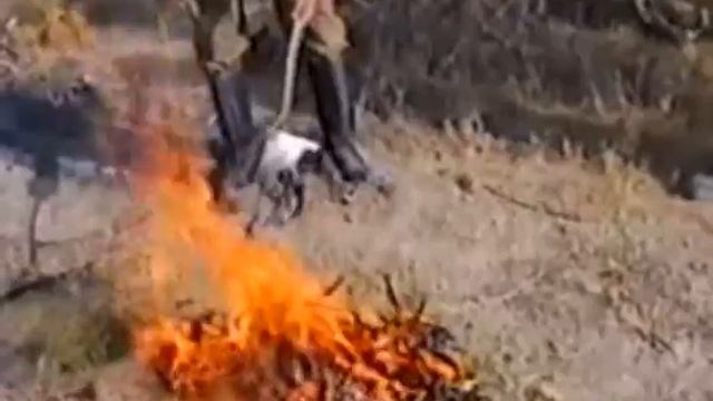 Мужские развлечения (охота-2) смотреть онлайн