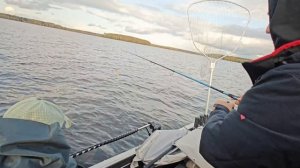 15 минут и рыба в лодке. Хрень для ЛОРАНС работает! АКТИВ ТАРГЕТ 2 первый опыт